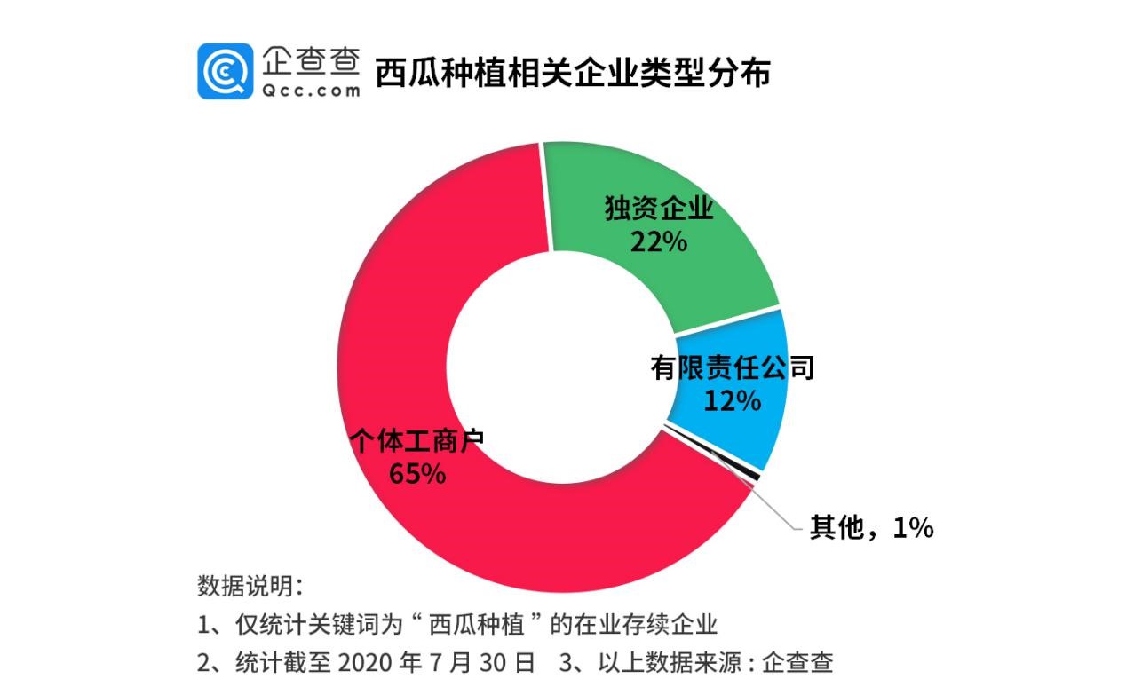 西瓜企业大数据：安徽人最会“种西瓜”，行业65%为个体工商户