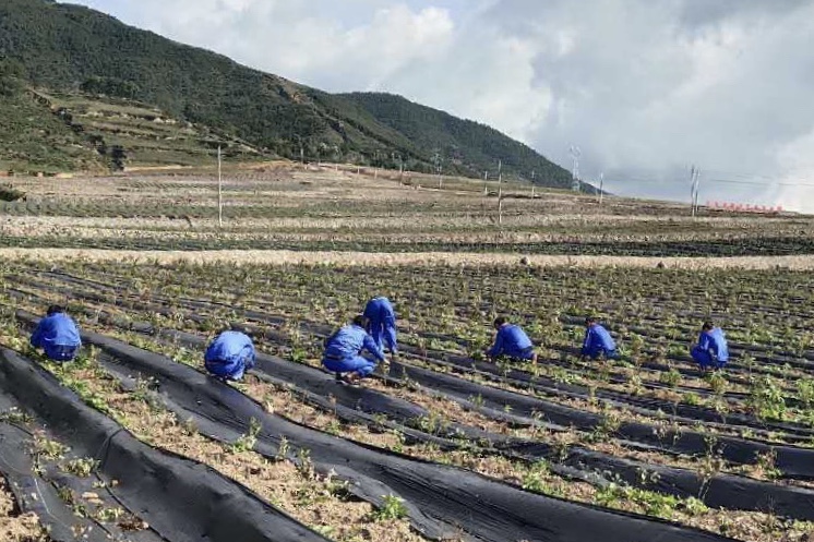 从“治毒”到“治穷”| 脱贫路上的凉山布拖经验