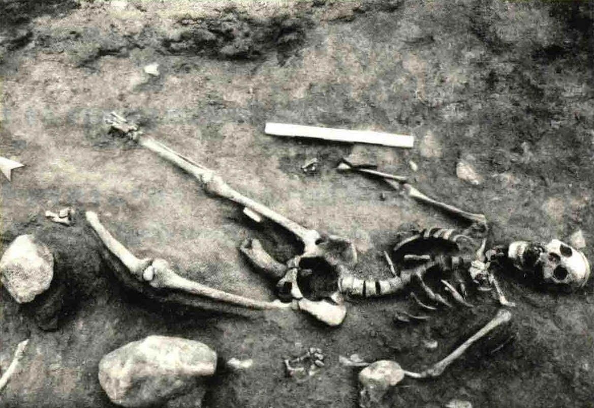 “陕西文物探探探”第6期：考古发掘出土的人骨到哪儿去了？-西北大学新闻网