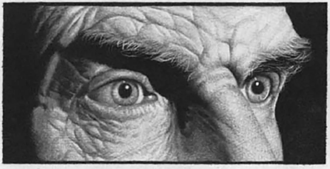 《奥斯特利茨》与《土星之环》：湮灭的时间在现实中复活