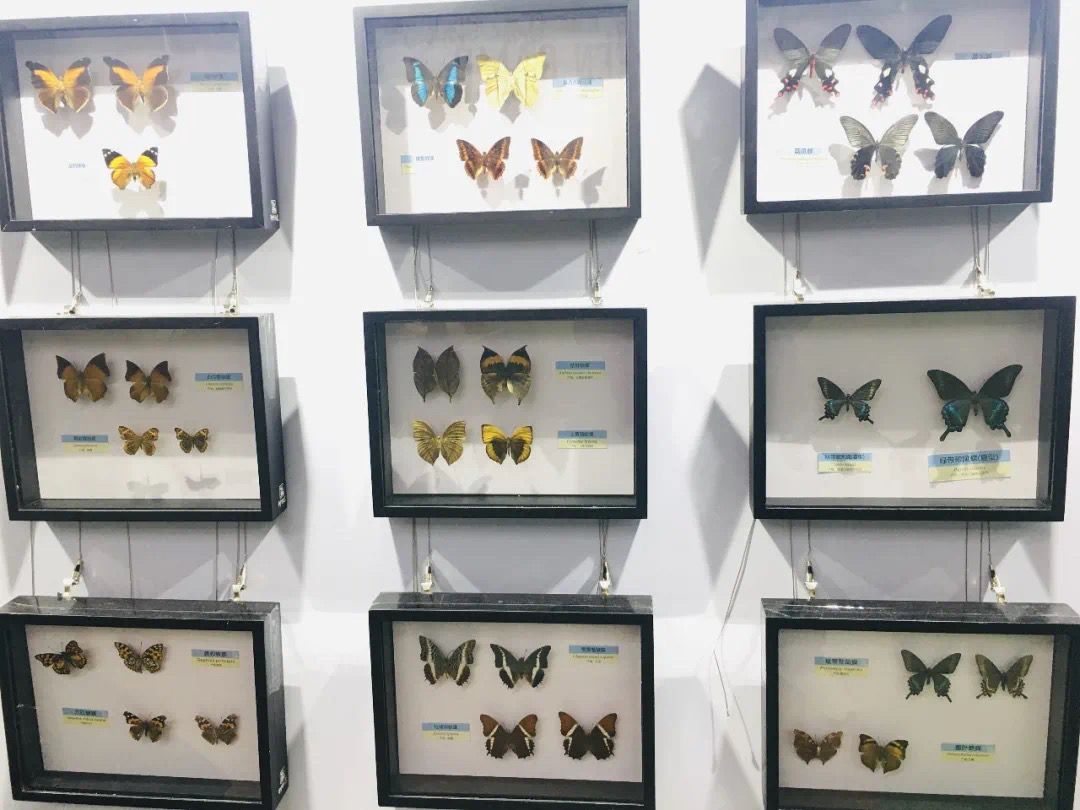 好玩丨抓住夏末的尾巴，一起夜游京城