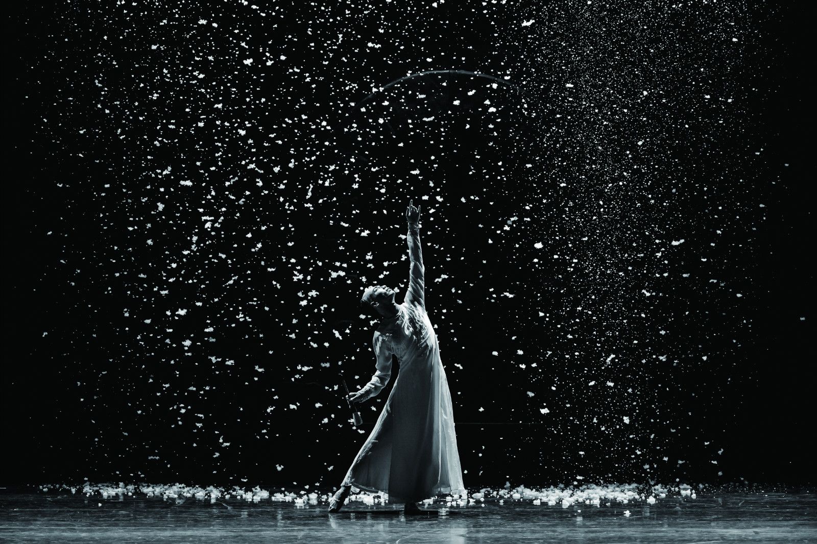 2020中关村舞剧节9月启幕，19部作品开启线下及云展演