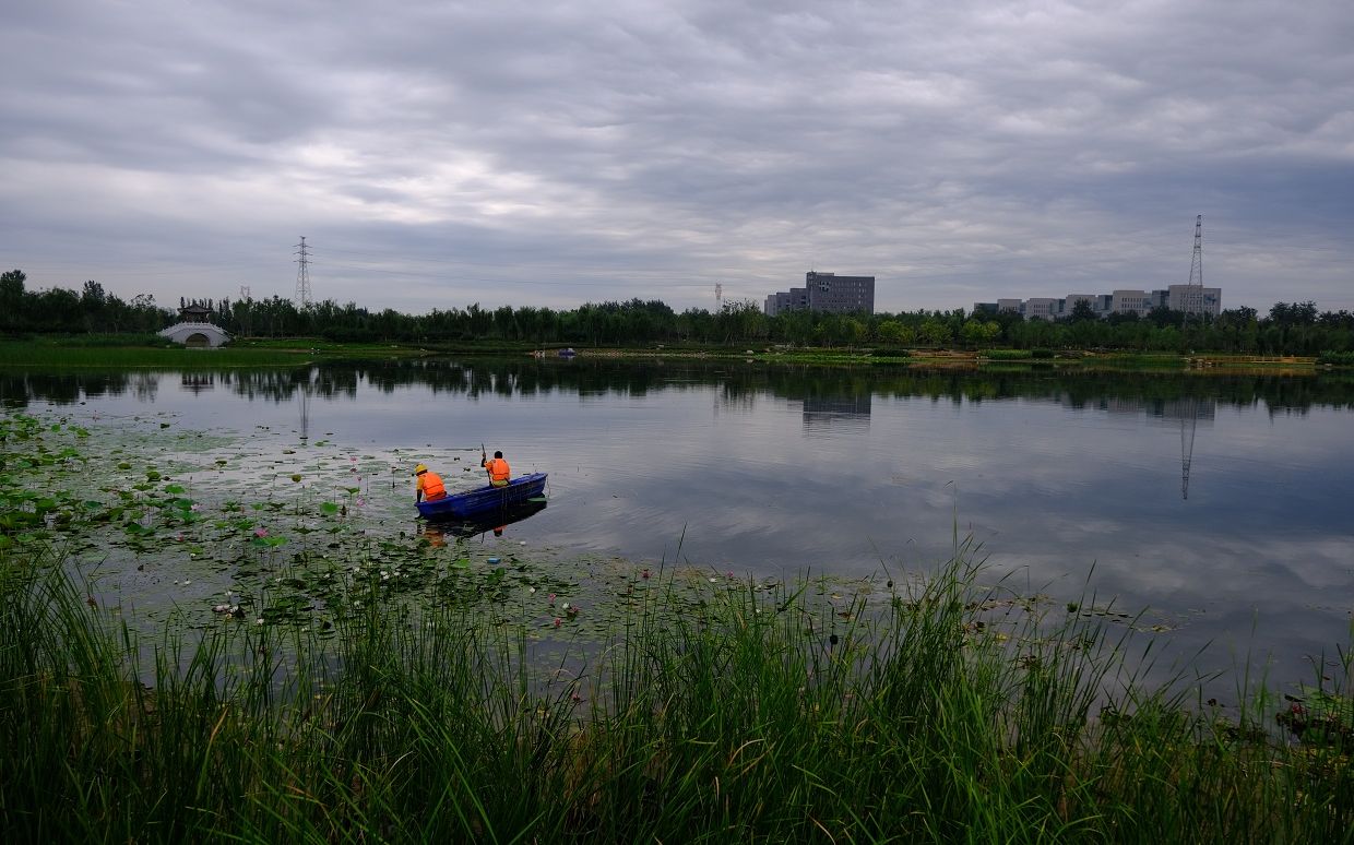 北京郊区绿了起来 通州怀柔密云年底将实现创森目标