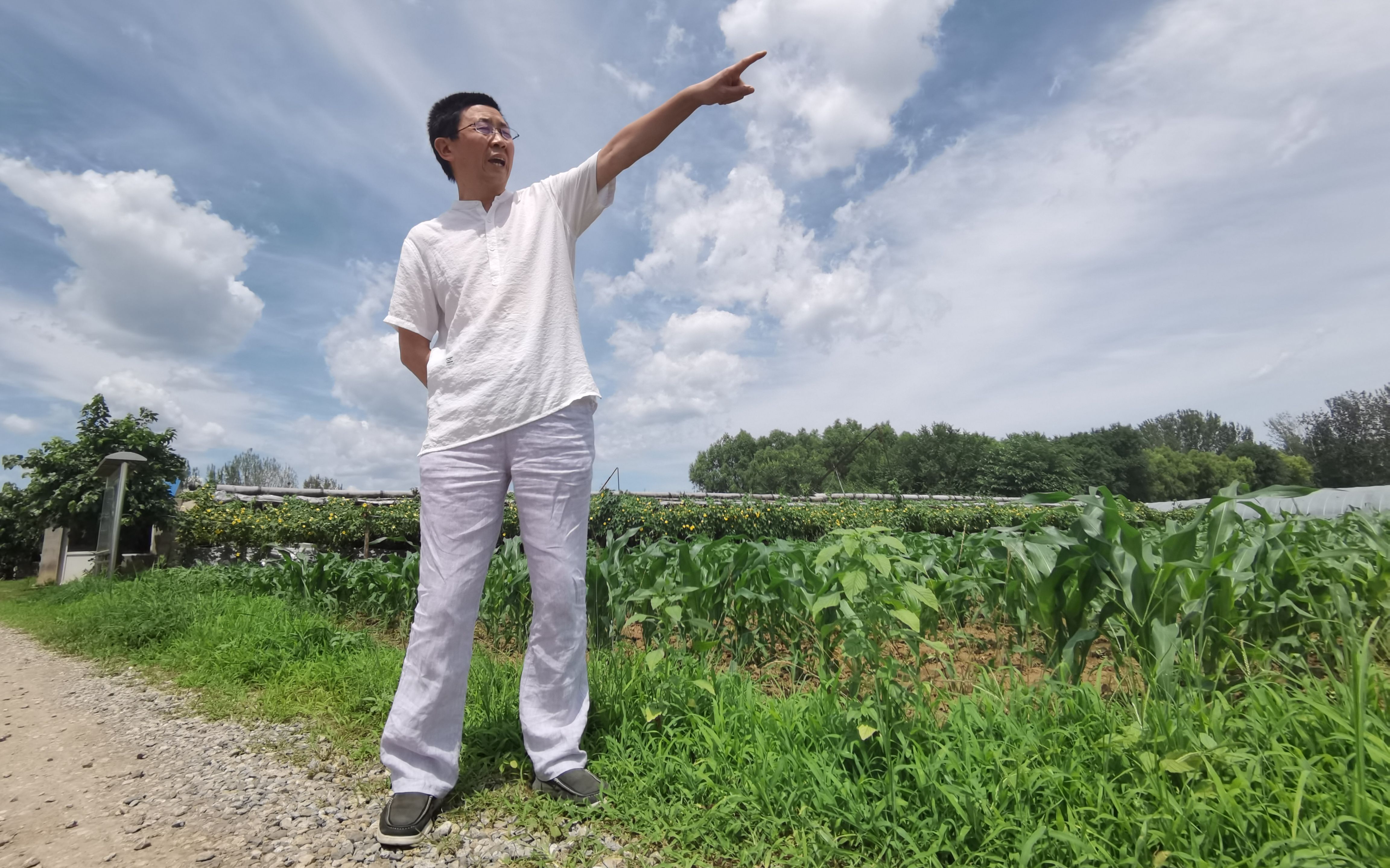 有机种植农场面临盈利难 专家呼吁为有机农业立法