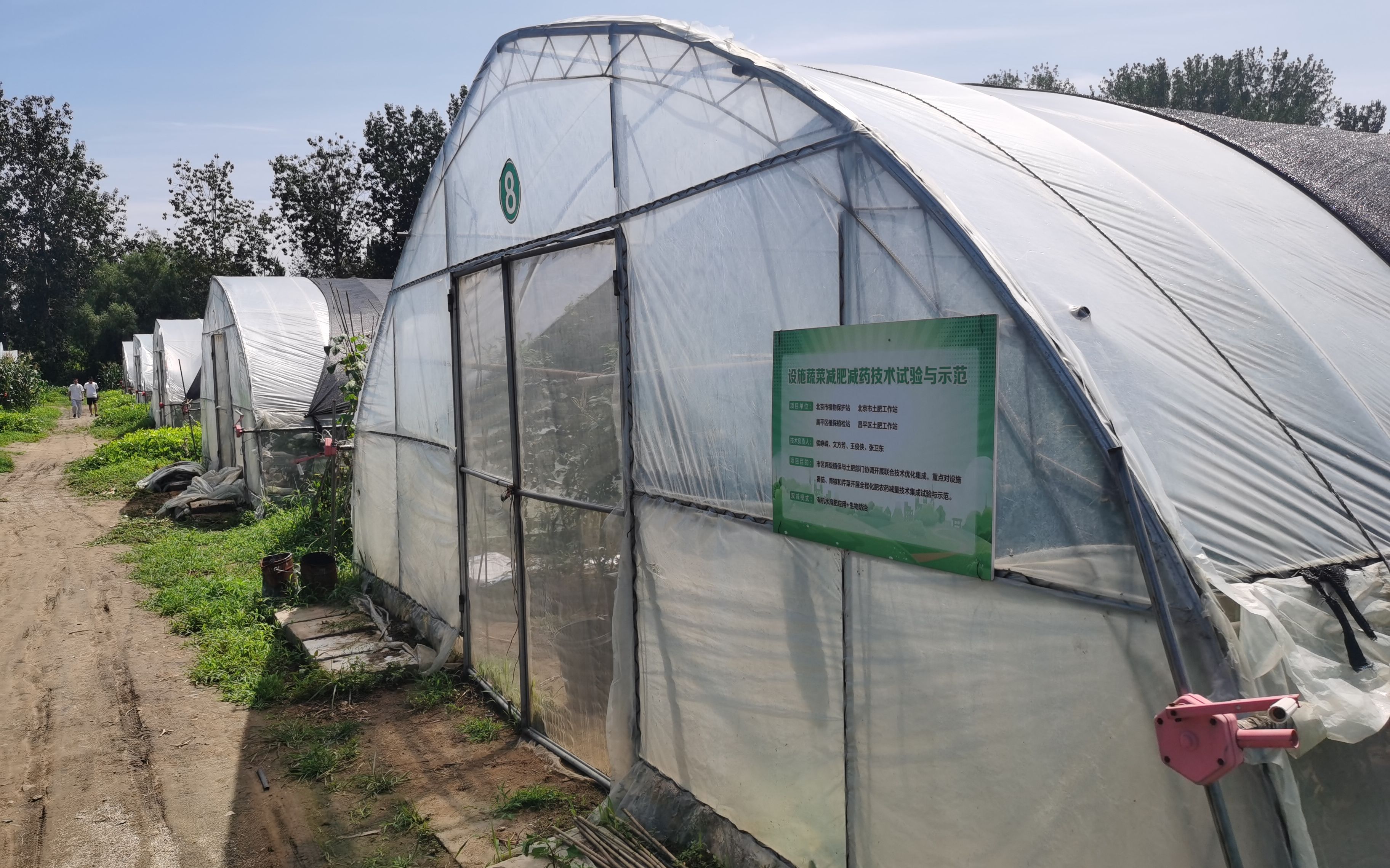 有机种植农场面临盈利难 专家呼吁为有机农业立法