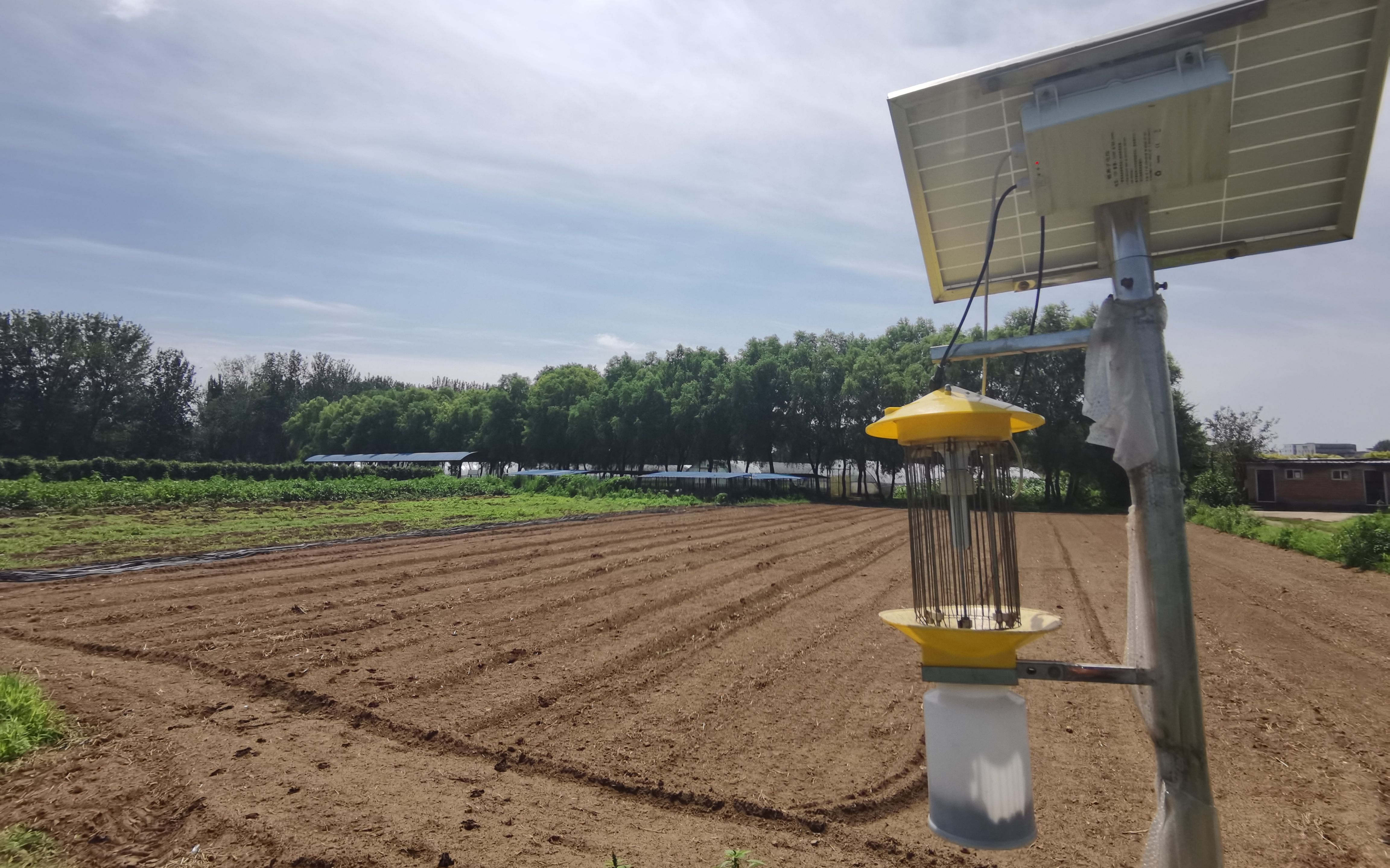 有机种植农场面临盈利难 专家呼吁为有机农业立法