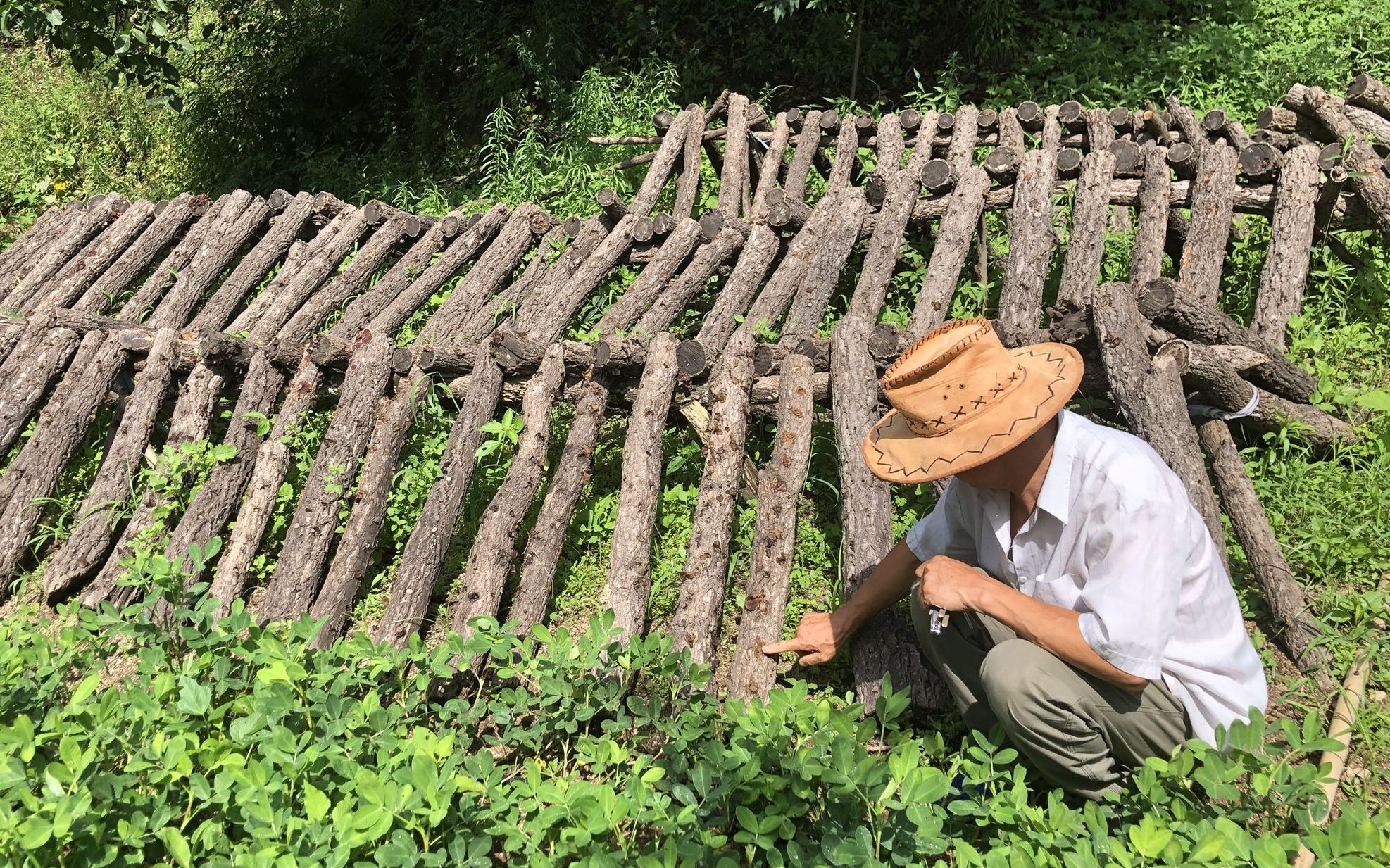 直到2017年,在异地移民搬迁政策的支持下,陈庆海家才搬离土房子,住进