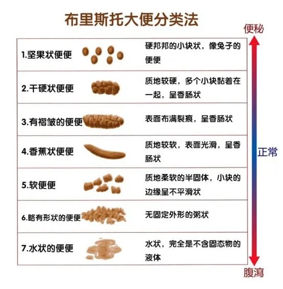 大便长期不成形的原因是什么?常见的原因一般有3种