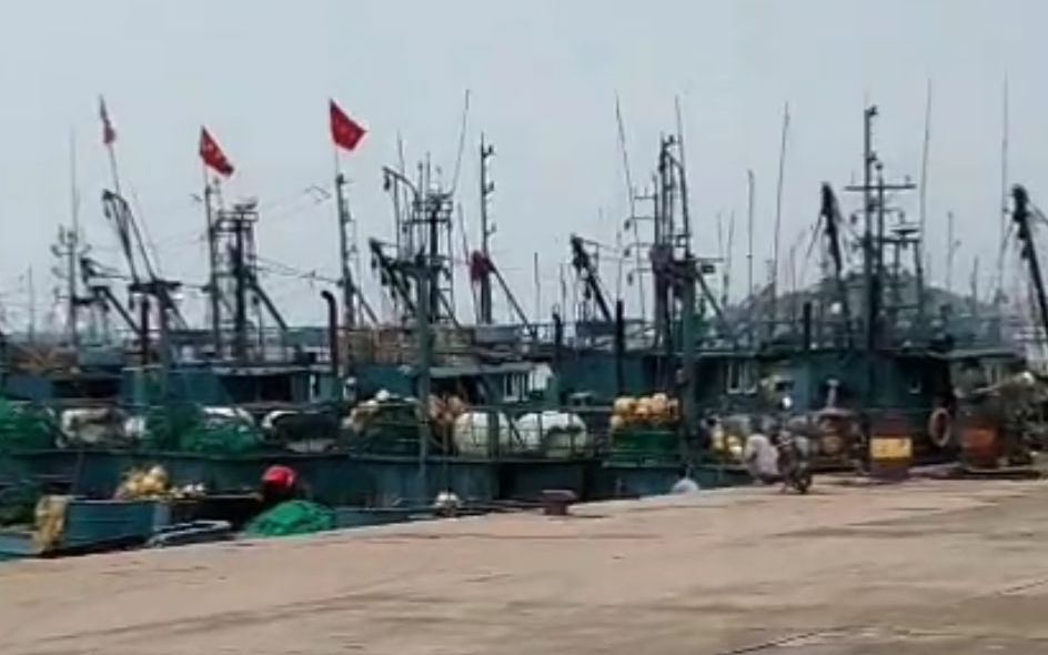 黄渤海海域休渔期结束 未来一个月迎海货丰产季