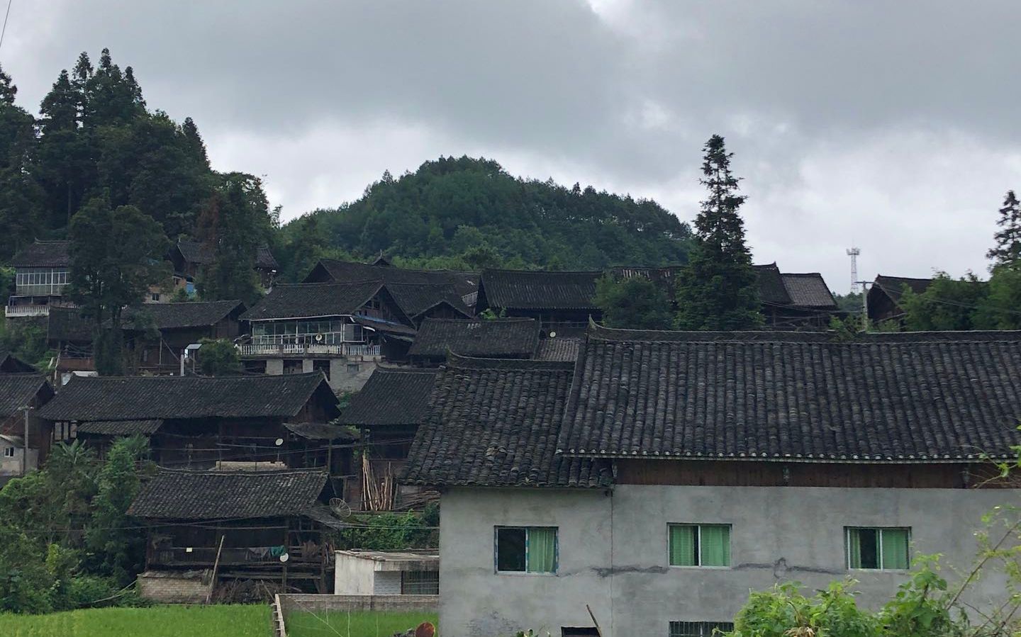 贵州深山有处哈密瓜梯田