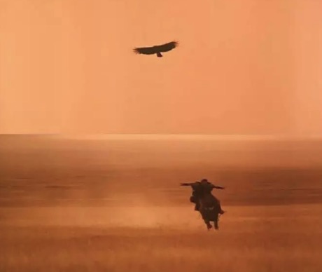 “野生导演”成长史：非科班电影人，会遇到多少坎坷？