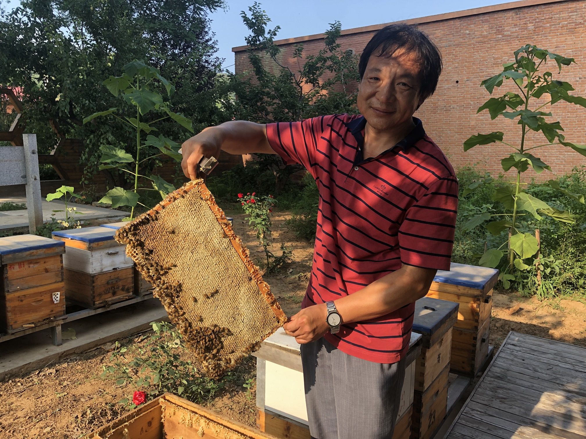 平谷区峪口镇“自流蜜”带动农户增收致富