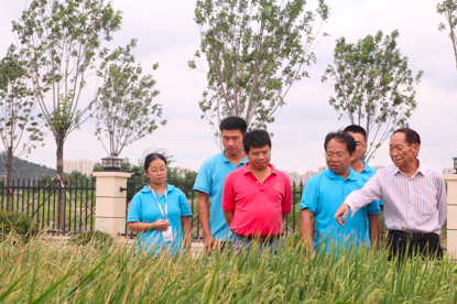 三年销售农产品5400亿 阿里：数字技术会让农产品成为商品