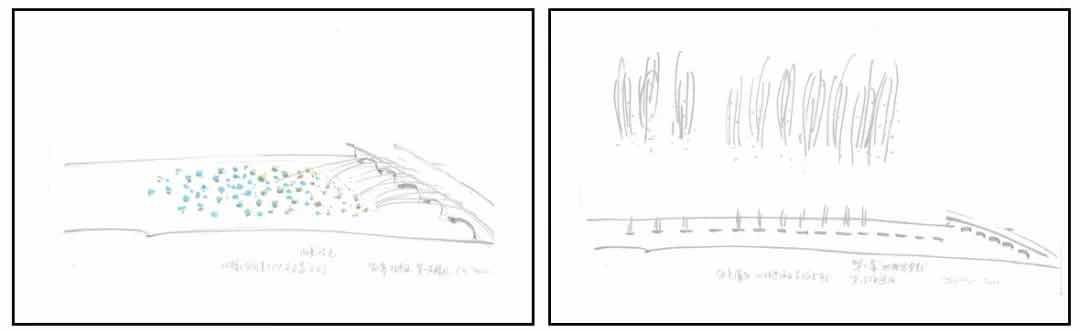 蔡国强法国直播白天烟花新作《悲剧的诞生》，致敬人类的坚强