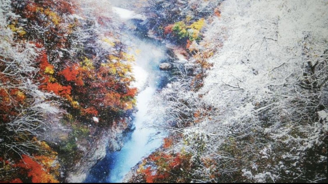 到此一游｜走进日本小众赏叶胜地，溪流与瀑布交织出锦绣画卷