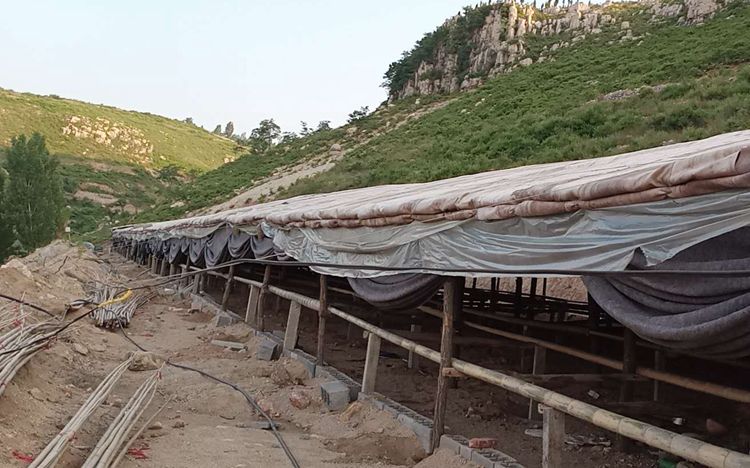 沂源县58岁村民考上大专 想学电商把村里的农产品卖到网上