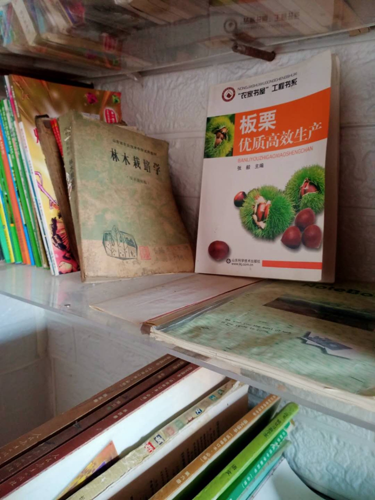 沂源县58岁村民考上大专 想学电商把村里的农产品卖到网上