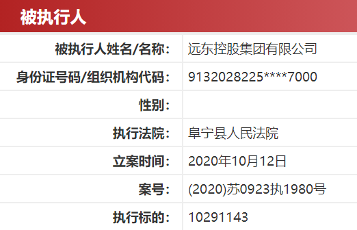 远东控股集团被法院列为被执行人 回应称涉绿叶农化担保