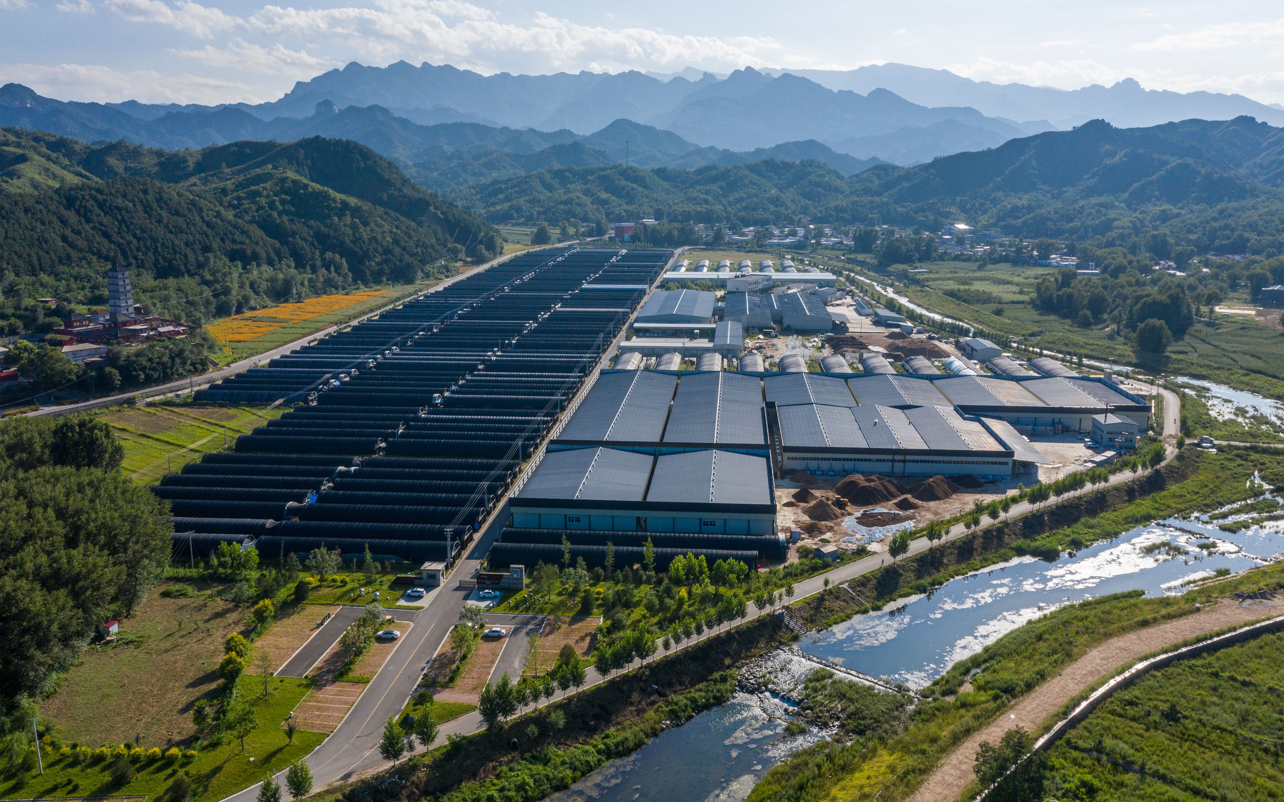 侯桂森：把食用菌带进贫困县的“乡土教授”