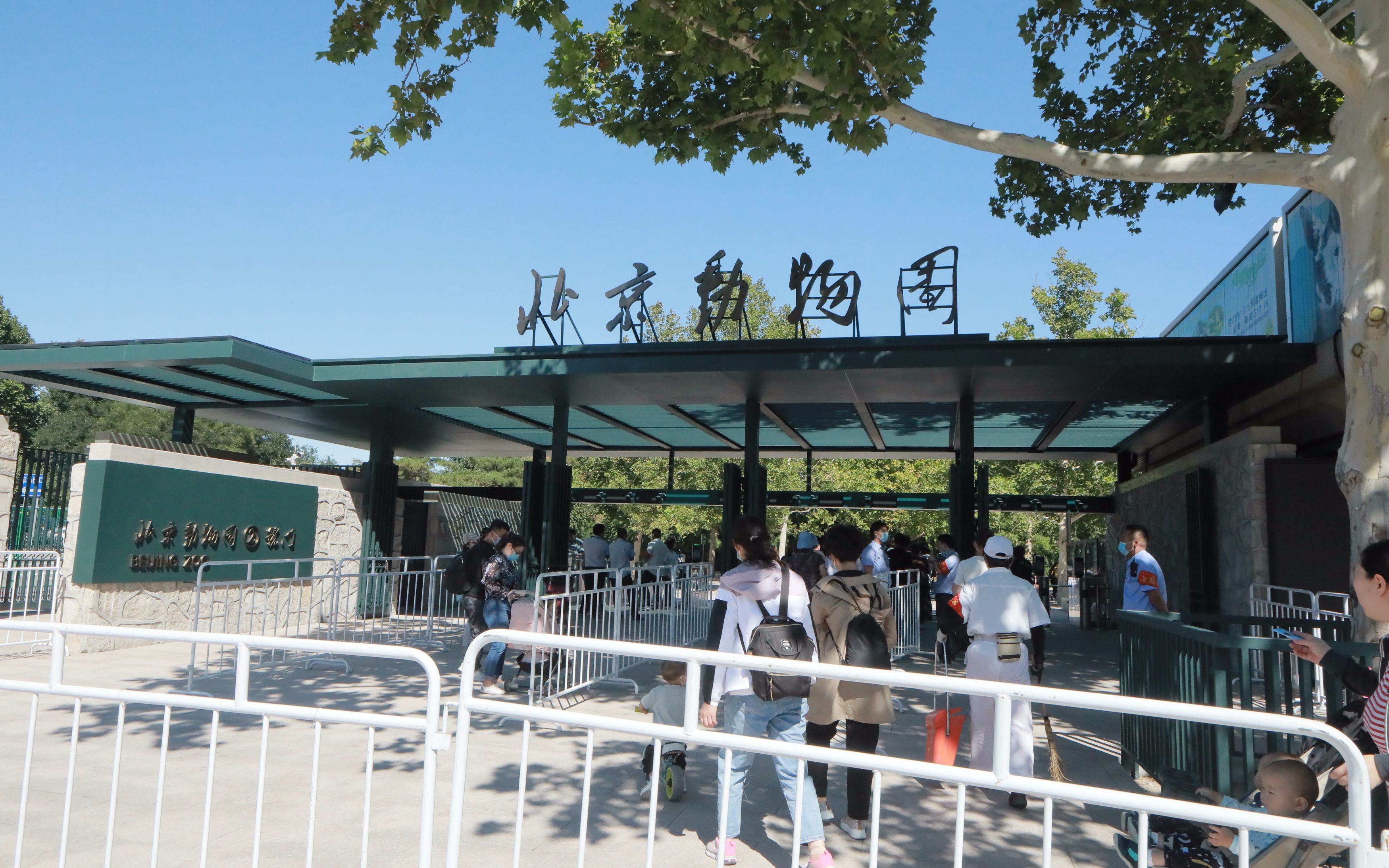 北京動物園啟用新大門設12條驗票通道古建百年老門將作備用