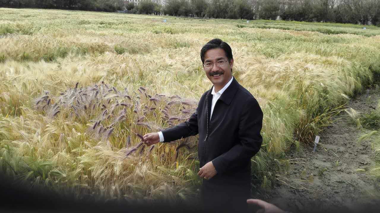 洞见 1小时前 一张图读懂"十四五"规划建议 政聚焦 39分钟前 尼玛扎西