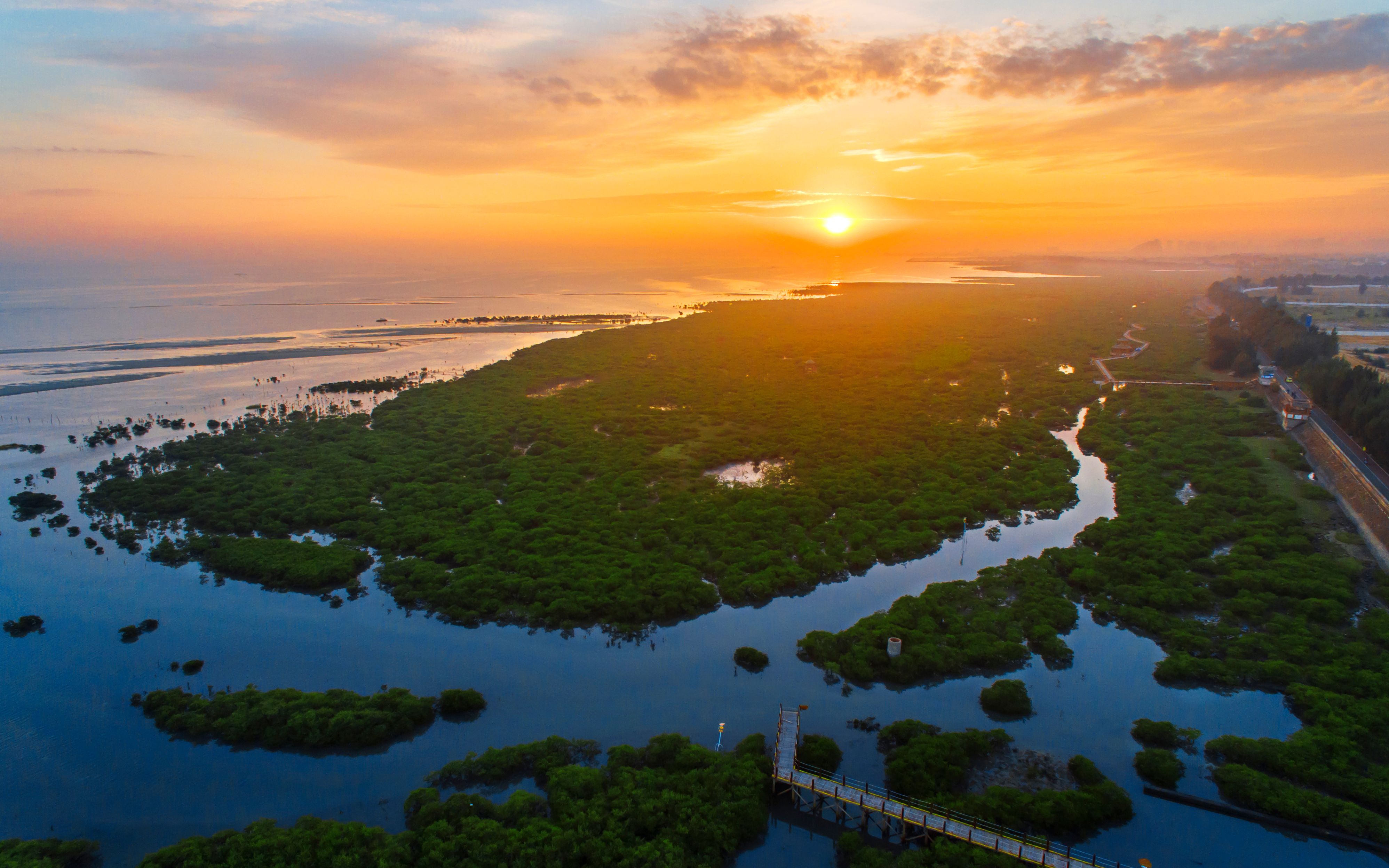 广西北海金海湾红树林摄影图__自然风景_自然景观_摄影图库_昵图网nipic.com