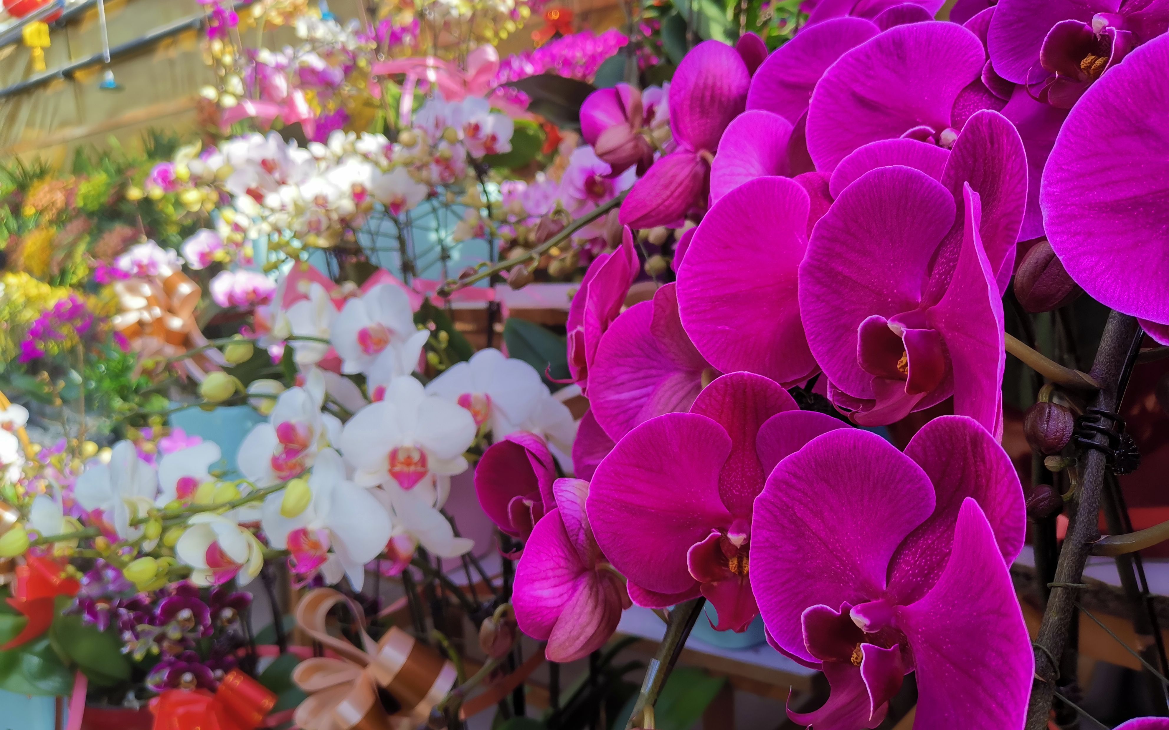 新京报 好新闻 无止境