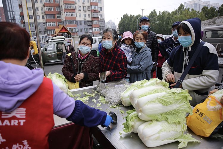 北京冬储大白菜上市