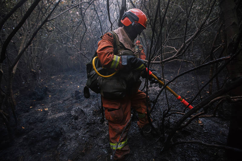 “守住咱们的山” — 新京报