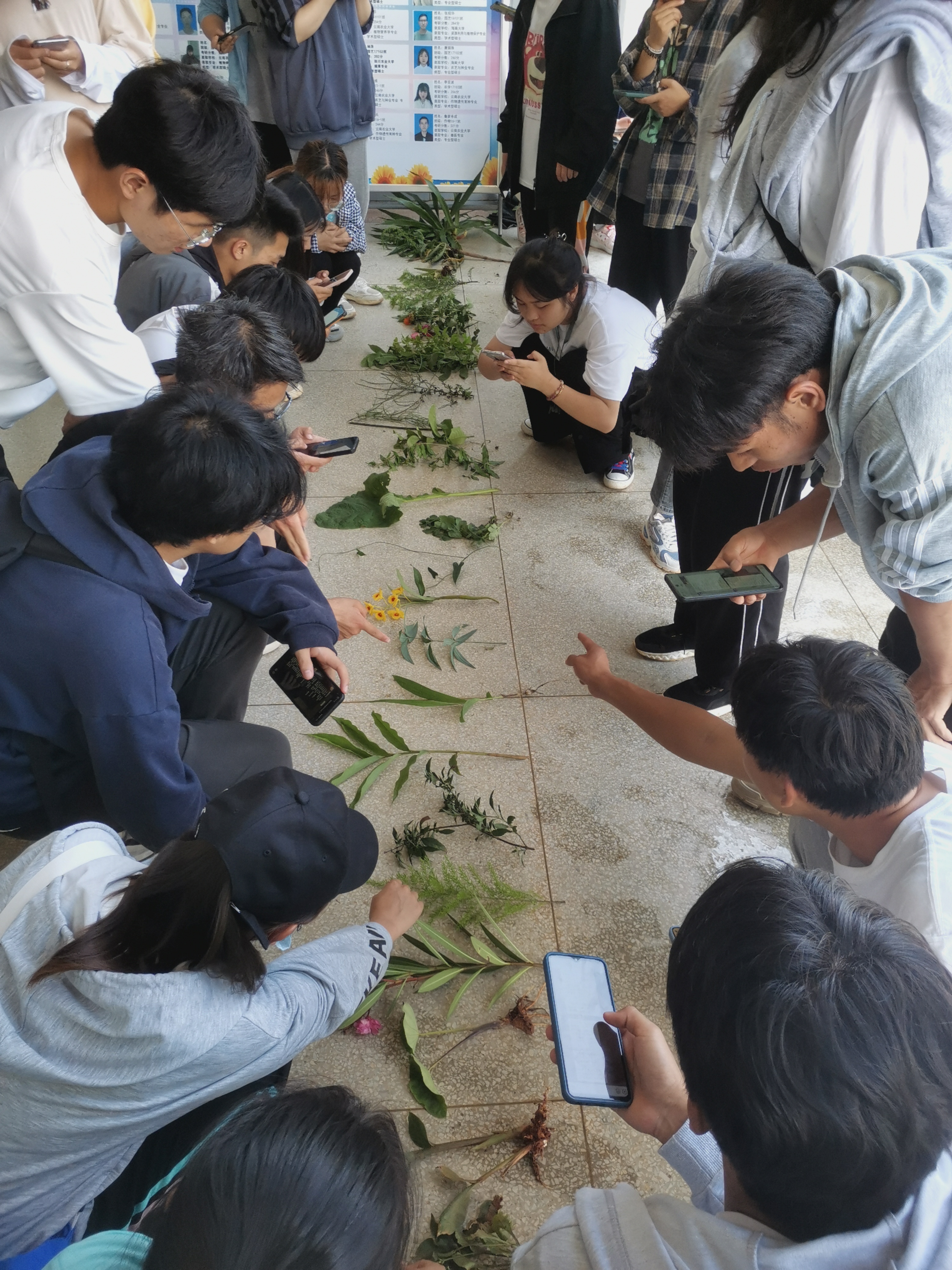 云南农业大学李富生图片