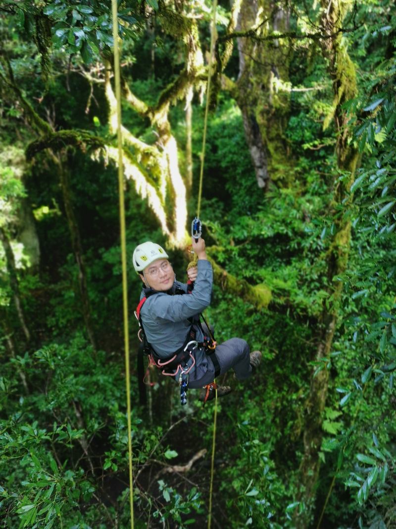 中国巨树科考队队员：半个多小时攀到六七十米，像做了上百个卷腹 — 新京报