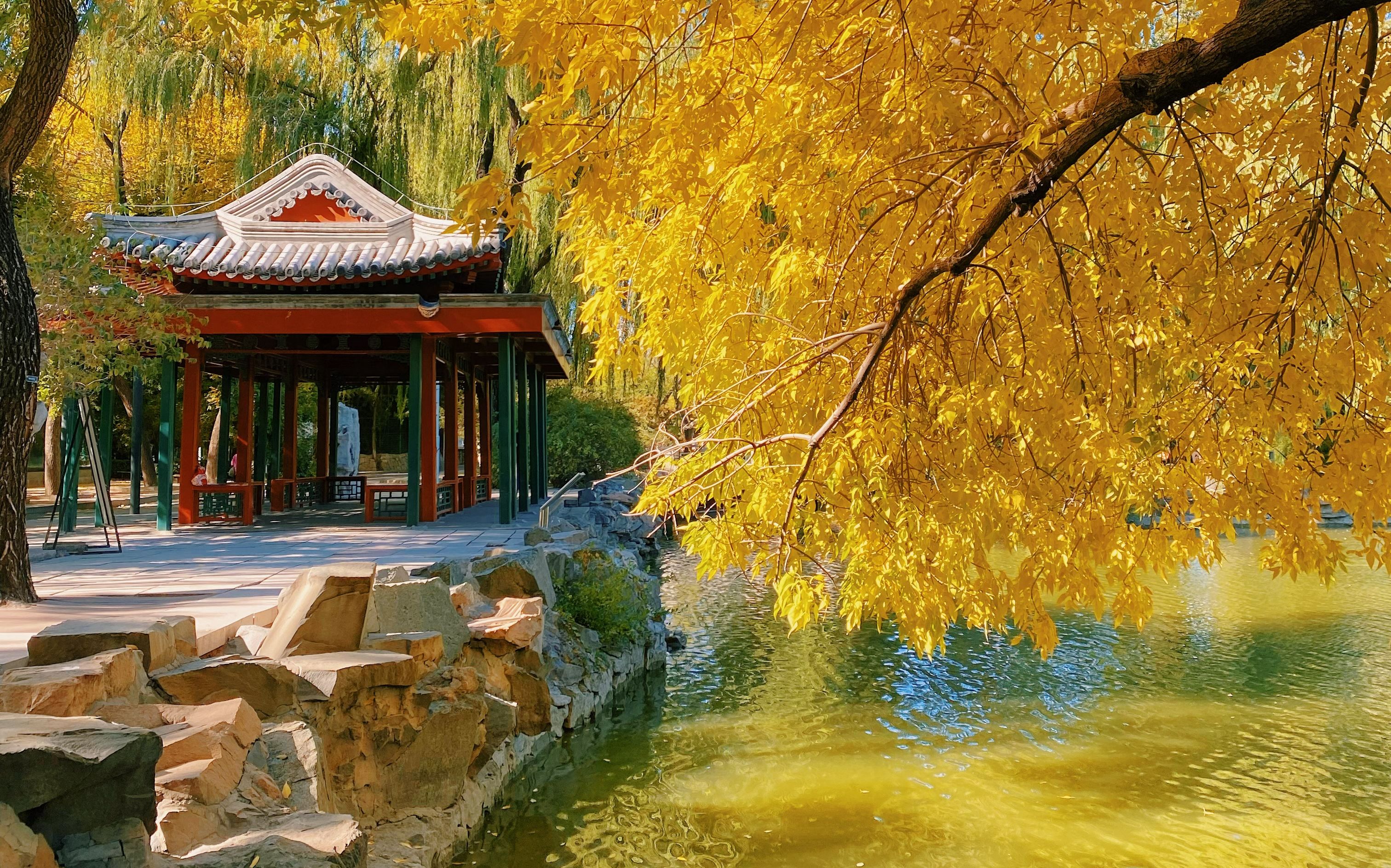 彩葉和古建交相輝映，北京市屬公園推出30處彩葉觀賞地