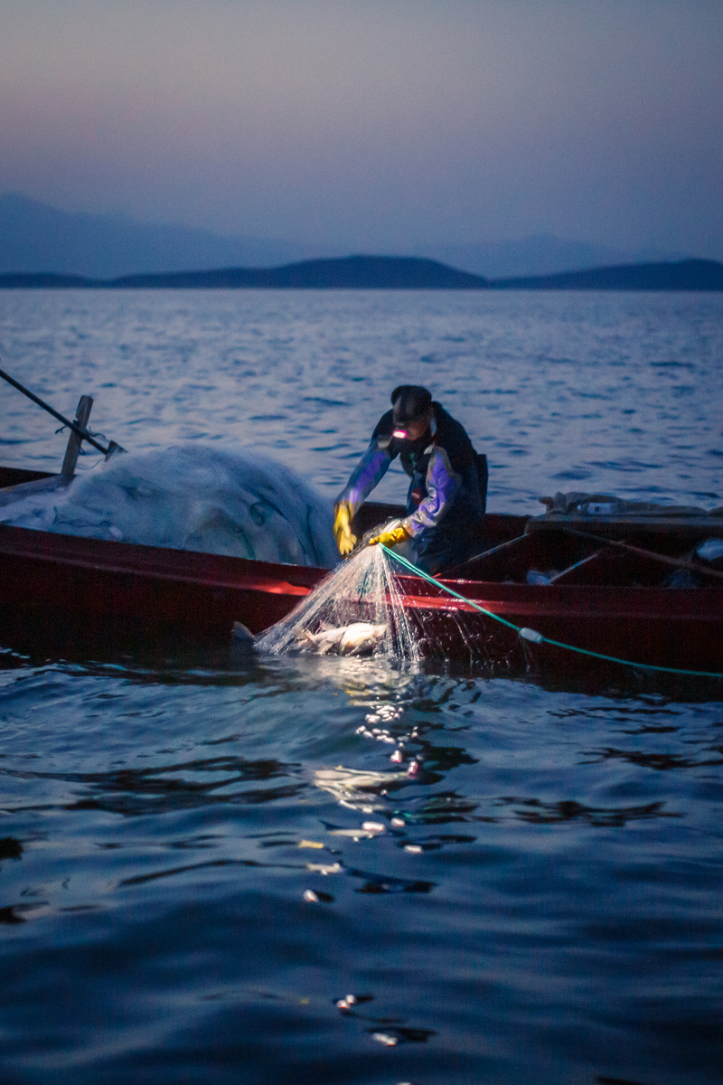 “渔”水共生 — 新京报
