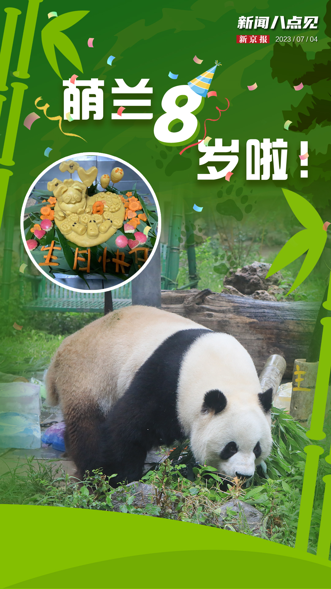美国熊猫营销号图片