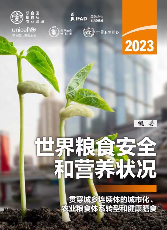 全球饥饿人口_联合国报告:2022年全球饥饿人口达7.83亿人(2)