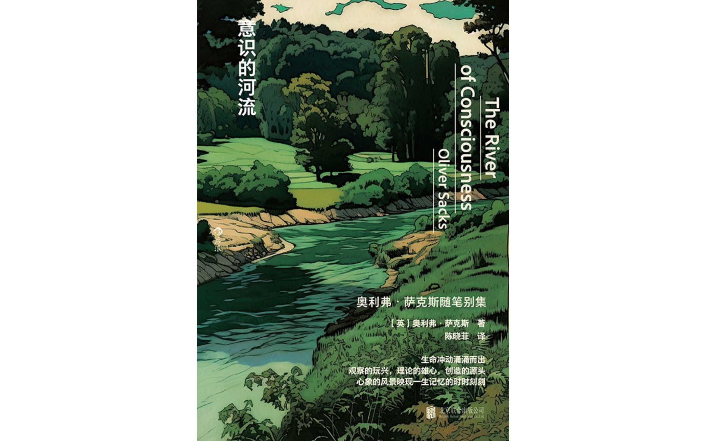 视频荐书意识的河流