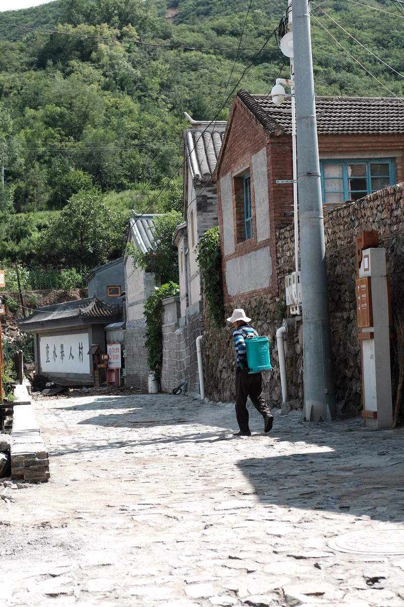 洪水之后的灵水举人村秋粥文化节爽约两株千年古柏完好