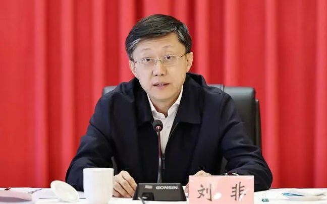 刘非任云南省委组织部部长