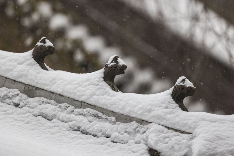 恭王府雪景图片