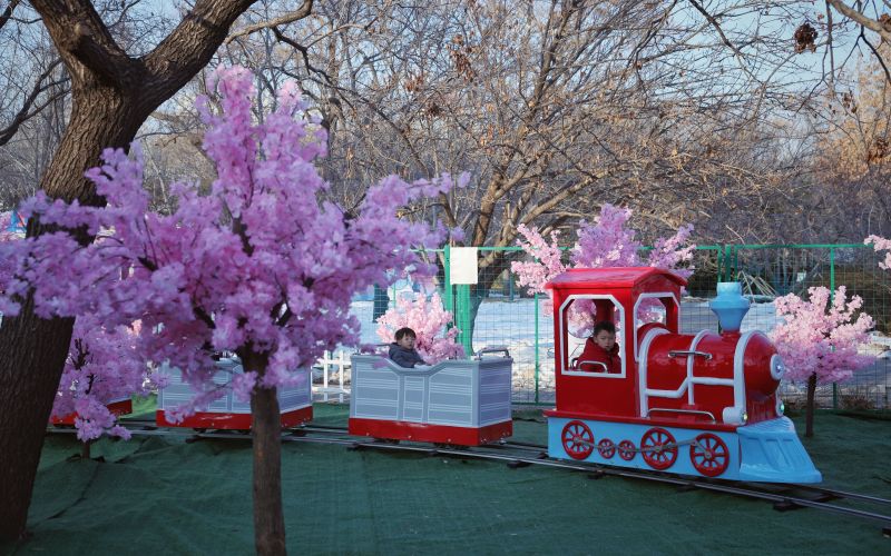玉渊潭公园冰雪季开幕，新增雪地“赏樱”小火车