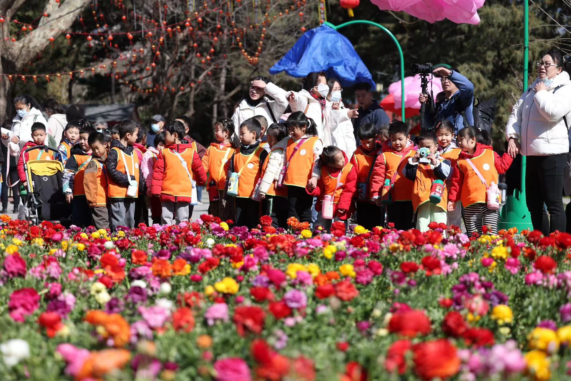 半岛·体育(中国)官方网站“一园一花一品”“一路一花一叶”朝阳区打造花园城市示范(图1)