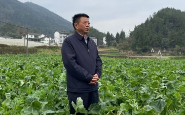 中国工程院院士王汉中：油菜花开，一场关乎粮食安全的油料布局