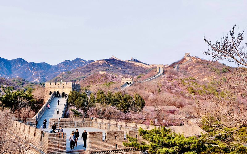 首页>北京>水关长城山花绽放,登高赏花正当时>2024-04-021141>记者:曹