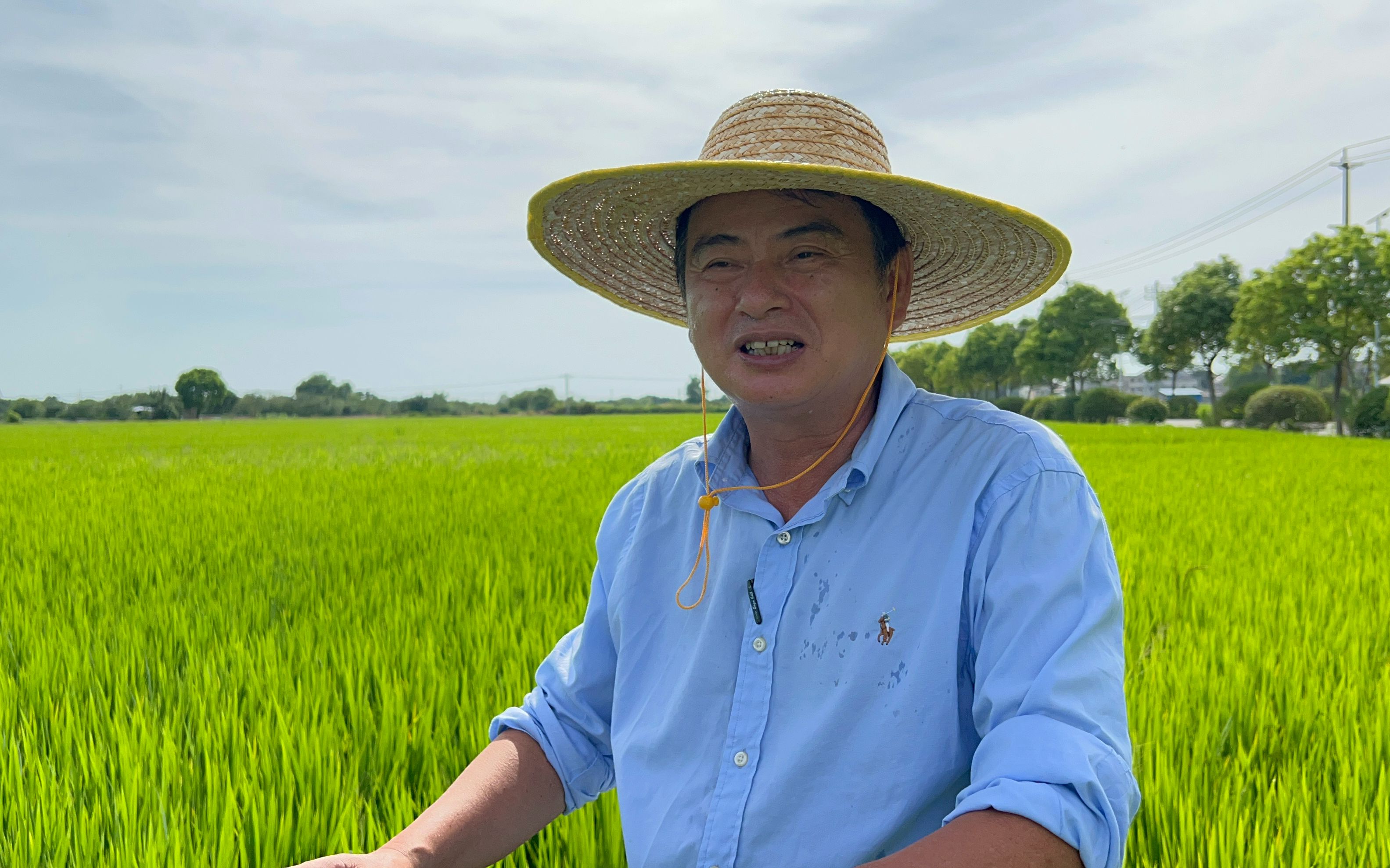 记者手记:在田野里播种未来