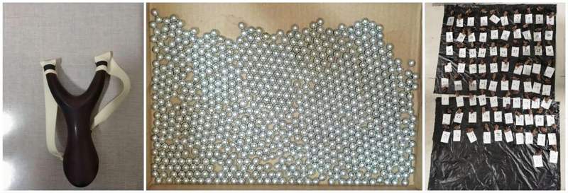 用弹弓猎捕82只麻雀,一馋嘴男子获刑7个月