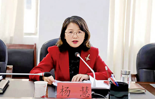 厅官杨慧,任上被查