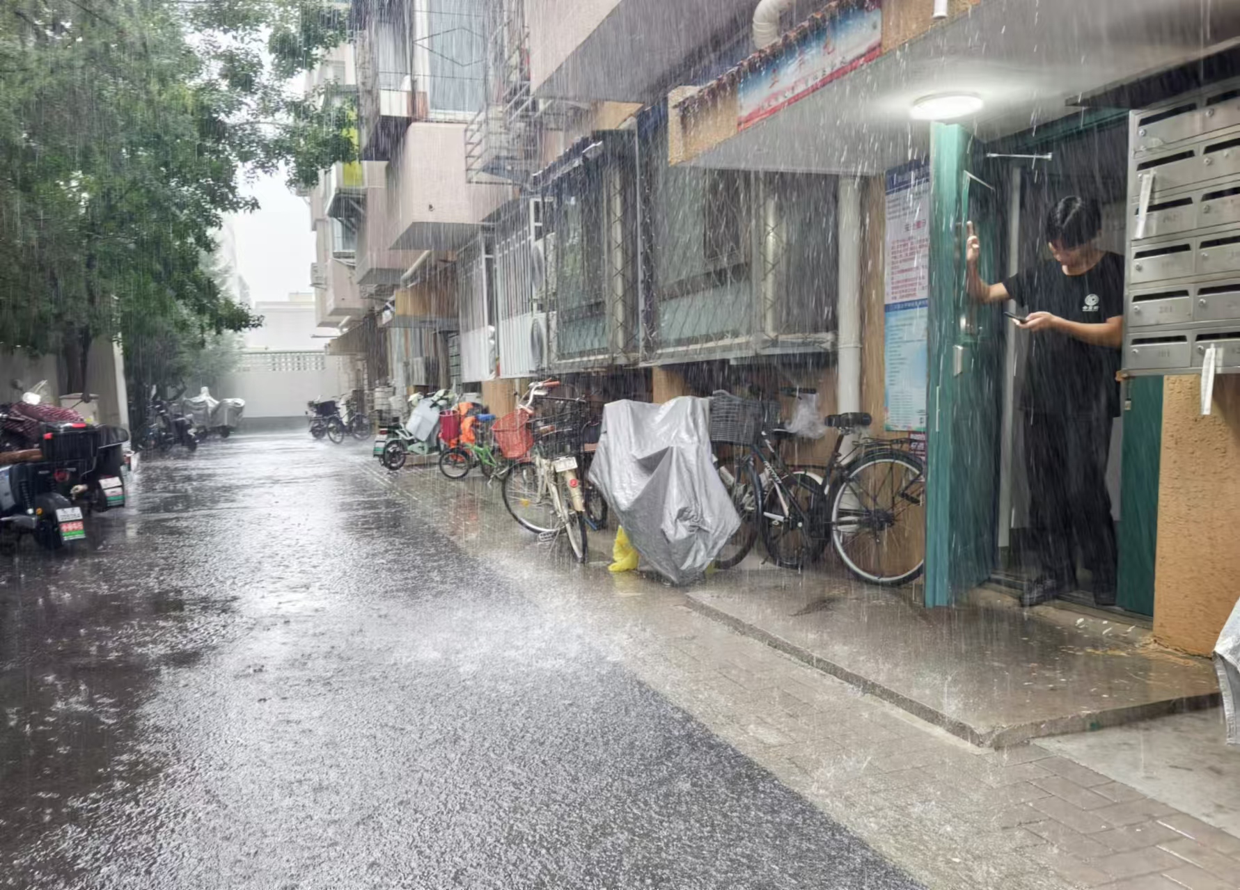 阴转大雨图片