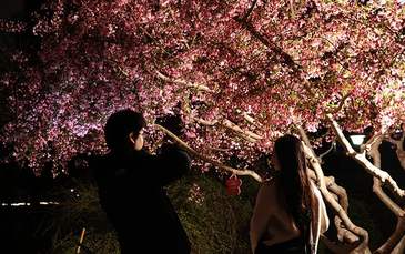 玉淵潭公園今日起開啟夜景亮化