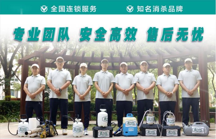 灭鼠公司河北洁净无忧环保科技有限公司——树立现代虫控行业新标杆