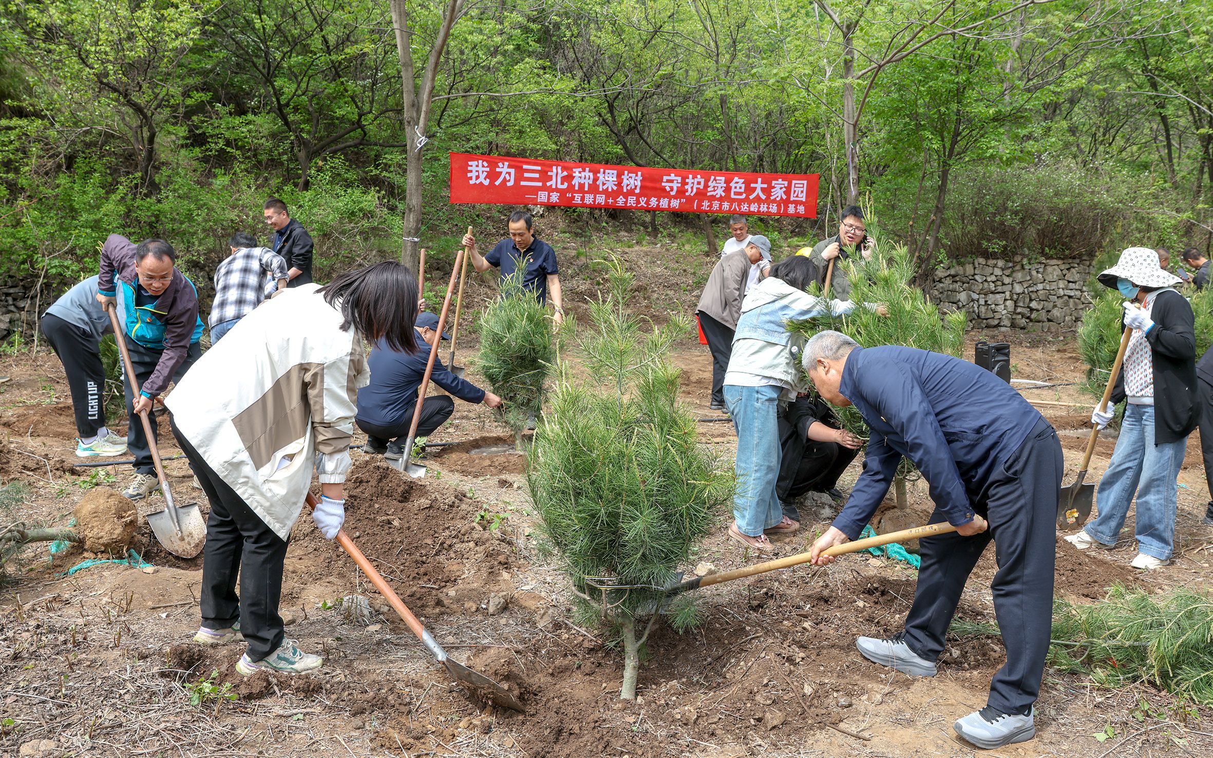 科技赋能“三北”工程，无人机运苗打通“空中走廊” — 新京报